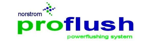 power flush